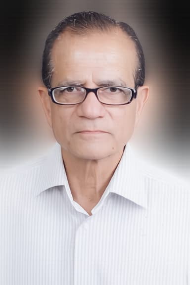 Shri S. K. Bhatnagar